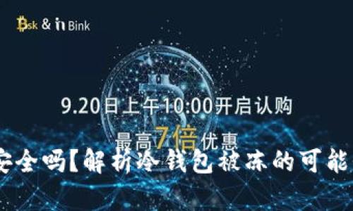 USDT冷钱包安全吗？解析冷钱包被冻的可能性与防范策略