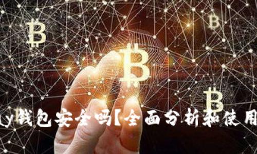 Copay钱包安全吗？全面分析和使用指南