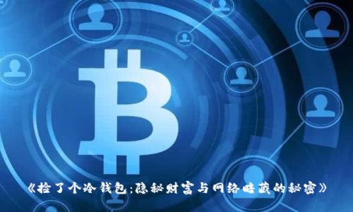 《捡了个冷钱包：隐秘财富与网络暗藏的秘密》