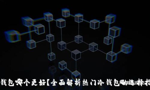   
冷钱包哪个更好？全面解析热门冷钱包的选择指南