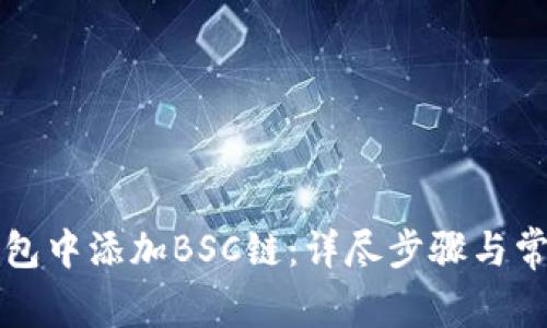 如何在TP钱包中添加BSC链：详尽步骤与常见问题解析