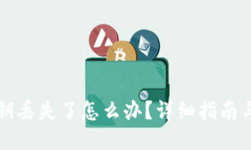 TP钱包私钥丢失了怎么办？详细指南与找回方法