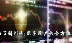 全面了解Pi币：新手用户的