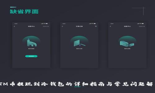 STM币提现到冷钱包的详细指南与常见问题解答