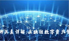 TP钱包与波场的关系详解：