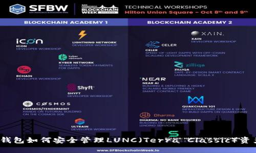 TP钱包如何安全管理LUNC（Terra Classic）资产？
