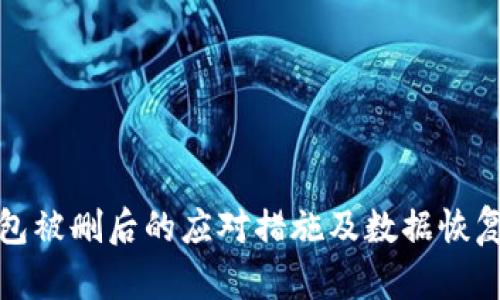 冷钱包被删后的应对措施及数据恢复方案