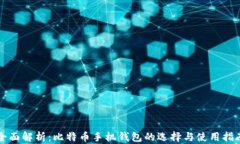 全面解析：比特币手机钱