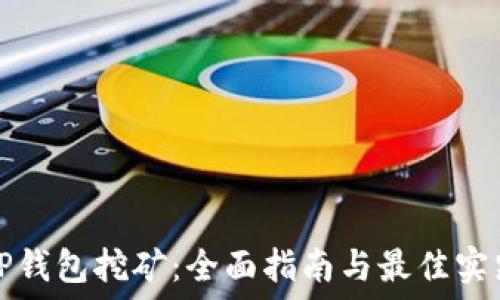   
TP钱包挖矿：全面指南与最佳实践