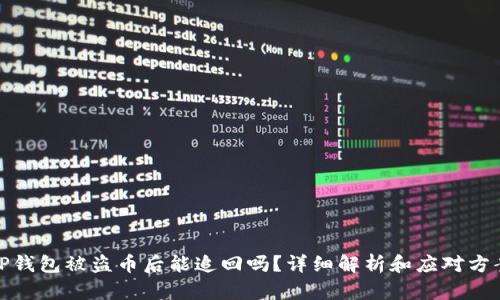 TP钱包被盗币后能追回吗？详细解析和应对方案