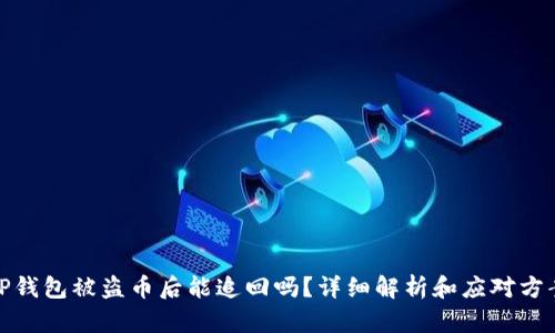 TP钱包被盗币后能追回吗？详细解析和应对方案