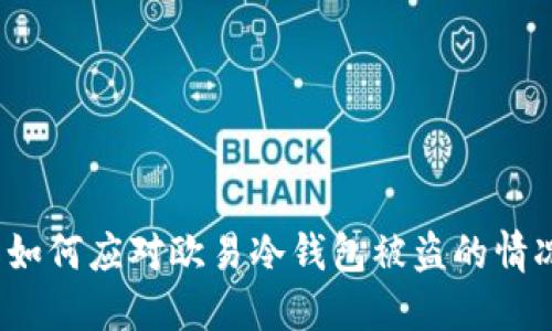  如何应对欧易冷钱包被盗的情况