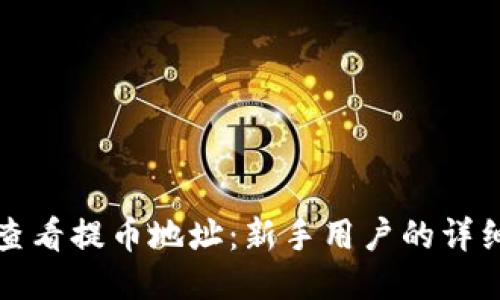 如何查看提币地址：新手用户的详细指南