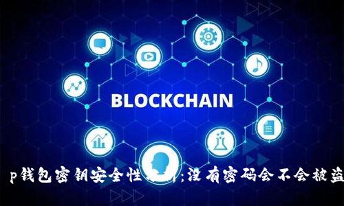 t p钱包密钥安全性分析：没有密码会不会被盗？
