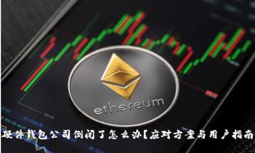 硬件钱包公司倒闭了怎么办？应对方案与用户指南