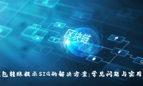 TP钱包转账提示SIG的解决方案：常见问题与实用技巧