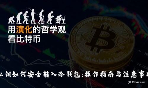 私钥如何安全转入冷钱包：操作指南与注意事项
