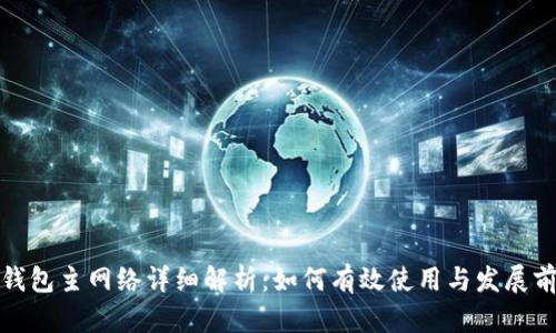 TP钱包主网络详细解析：如何有效使用与发展前景