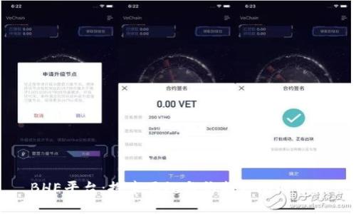 BHE平台：探索正规与仿制之间的界限