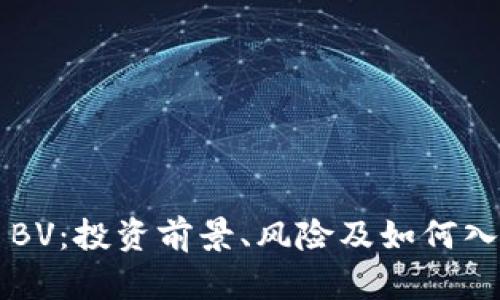 虚拟币BV：投资前景、风险及如何入门指南