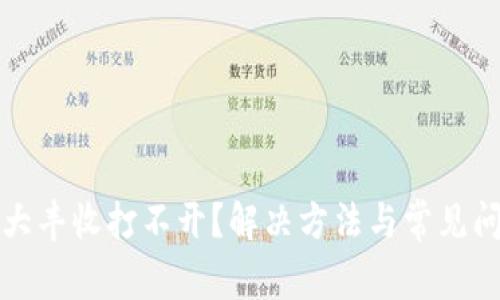 TP钱包大丰收打不开？解决方法与常见问题解析