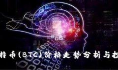 今日比特币(BTC)价格走势分