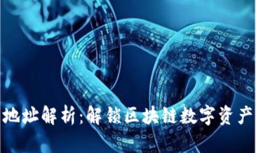 TP钱包地址解析：解锁区块链数字资产的关键