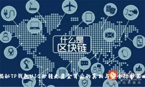 揭秘TP钱包U12秒转走资金背后的真相与安全防护策略