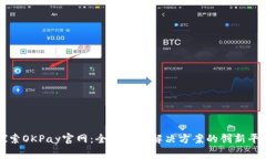 探索OKPay官网：全球支付解