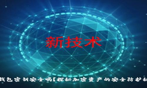 冷钱包密钥安全吗？探秘加密资产的安全防护秘诀