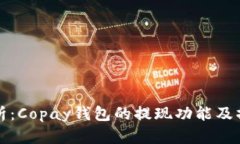 全面解析：Copay钱包的提现