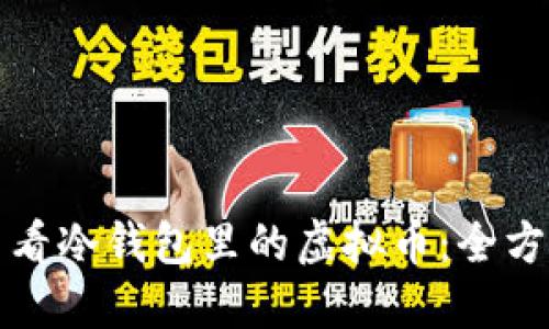 如何查看冷钱包里的虚拟币：全方位指南
