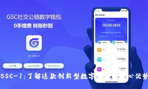 TP钱包BSC-1：了解这款创新型数字钱包的核心优势与应用