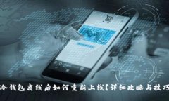 冷钱包离线后如何重新上