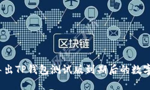 如何导出TP钱包测试版到期后的数字资产？
