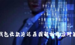 TP钱包收款延迟原因解析及