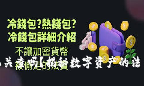 冷钱包会被司法机关查吗？揭秘数字资产的法律风险与保护措施