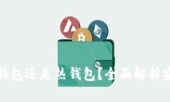 ViaWallet 是冷钱包还是热钱