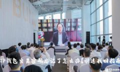TP钱包交易密码忘记了怎么