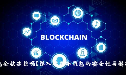 冷钱包会被冻结吗？深入解析冷钱包的安全性与解冻方法