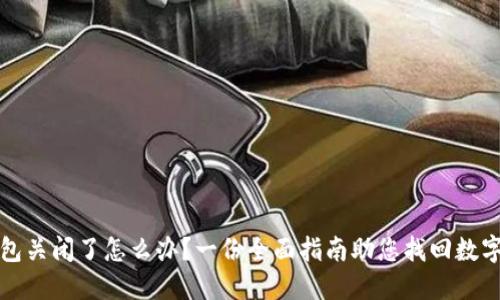 冷钱包关闭了怎么办？一份全面指南助您找回数字资产