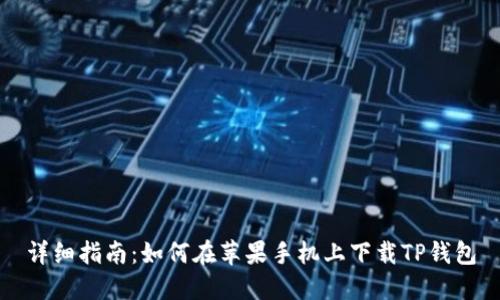 详细指南：如何在苹果手机上下载TP钱包