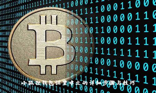 小狐狸钱包设置中文的详细步骤与技巧
