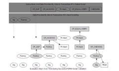 全面解析TokenPocket钱包：功