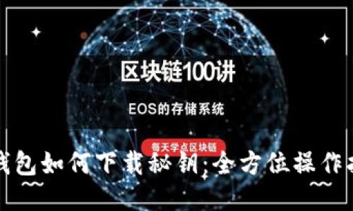 TP钱包如何下载秘钥:全方位操作指南