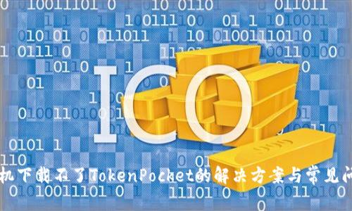 苹果手机下载不了TokenPocket的解决方案与常见问题解析