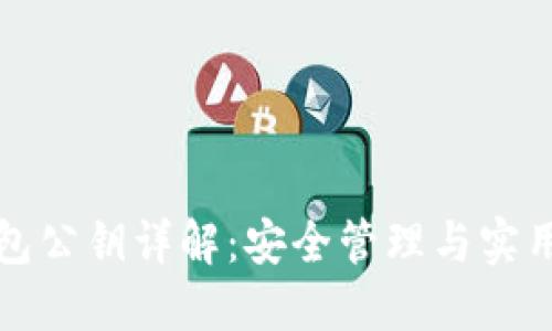 TP钱包公钥详解：安全管理与实用指南