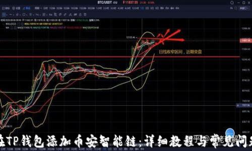
如何在TP钱包添加币安智能链：详细教程与常见问题解答