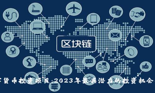 数字货币投资项目：2023年最具潜力的投资机会解析