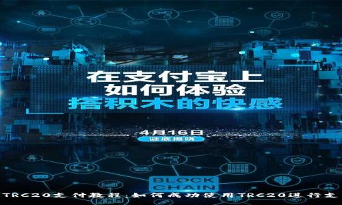 : TRC20支付教程：如何成功使用TRC20进行支付